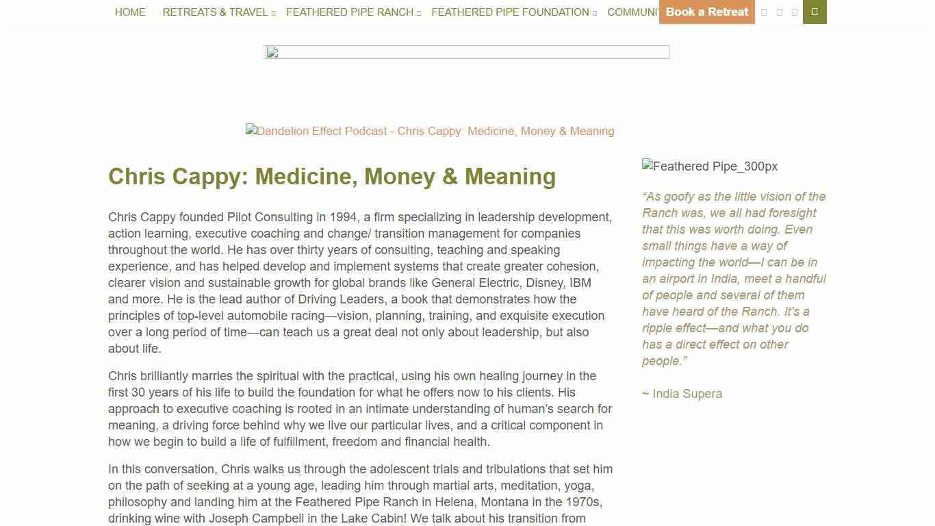 Dandelion Effect Podcast - Chris Cappy: Medicine, Money & Meaning