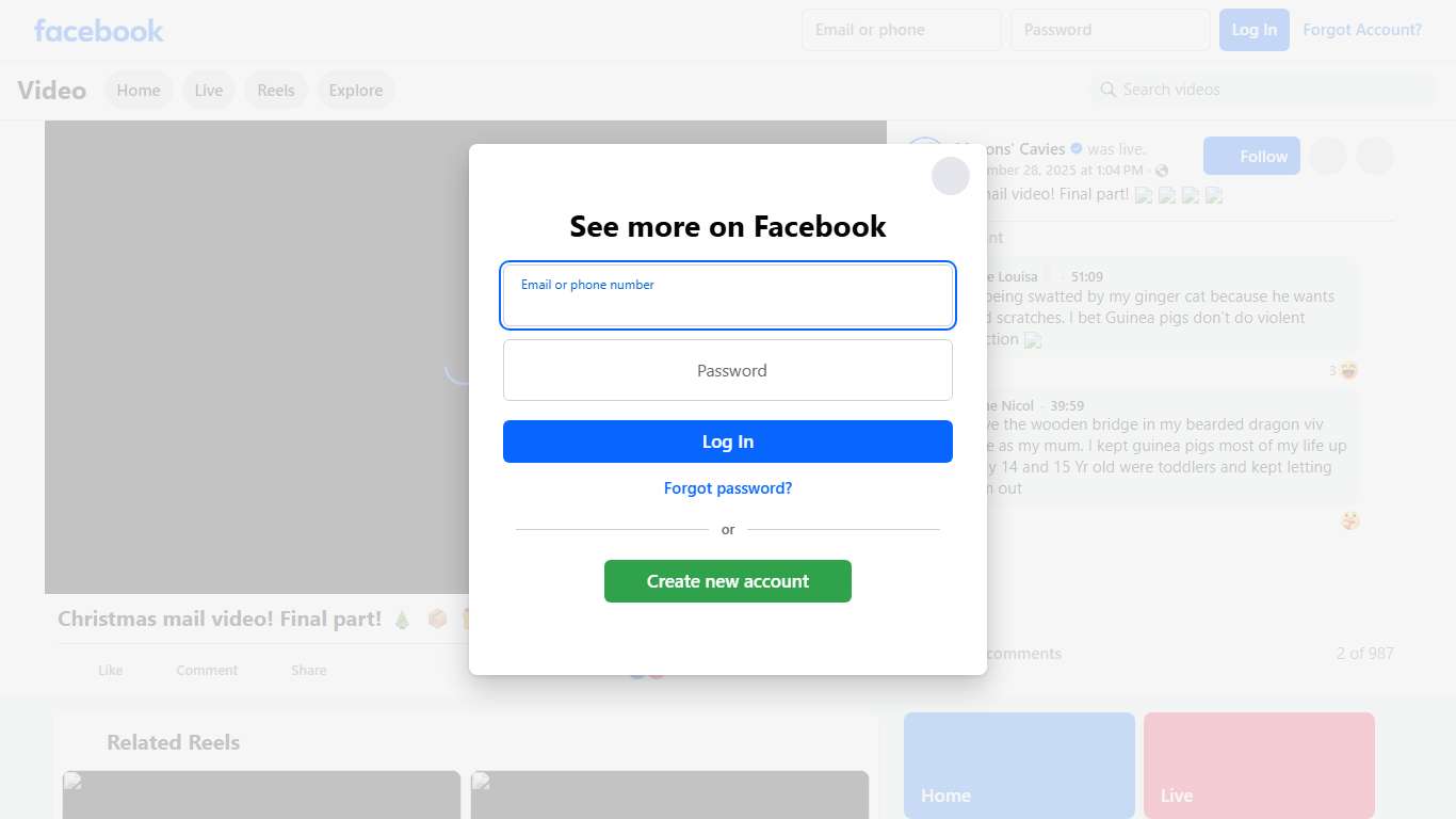 Christmas mail video! Final part! 🎄 📦 🎁 🌟 Masons' Cavies Facebook